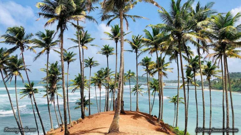Mirissa Beach Sri Lanka by Tuk Tuk: Whale Watching & Travel Guide