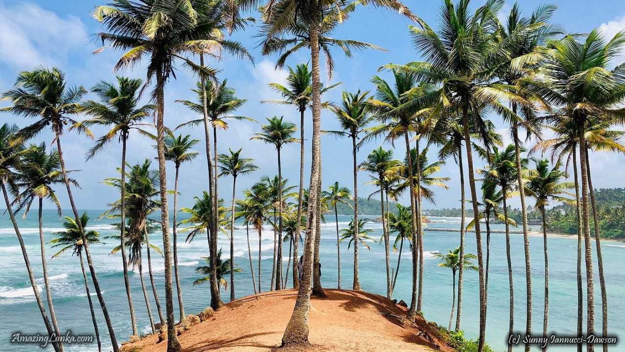 Mirissa Beach Sri Lanka by Tuk Tuk: Whale Watching & Travel Guide
